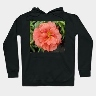 Delicate Coral Flower Photographic Image Hoodie